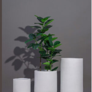 Maple FRP PLANTERS