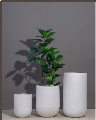 Maple FRP PLANTERS