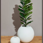 Sphere FRP PLANTERS