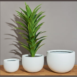 Ginne FRP PLANTERS