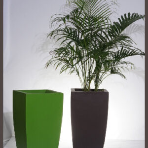 Tillia FRP PLANTERS