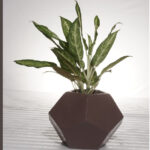 Alpha FRP PLANTERS