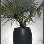 Mimossa FRP PLANTERS