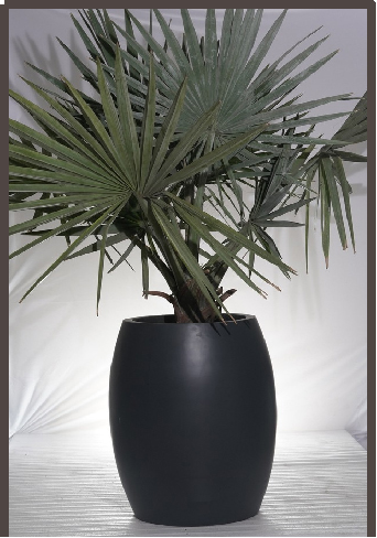 Mimossa FRP PLANTERS