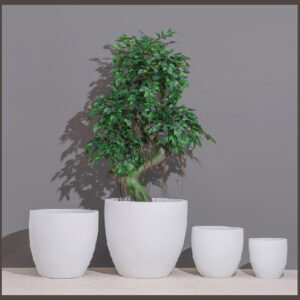 Tansy FRP PLANTERS